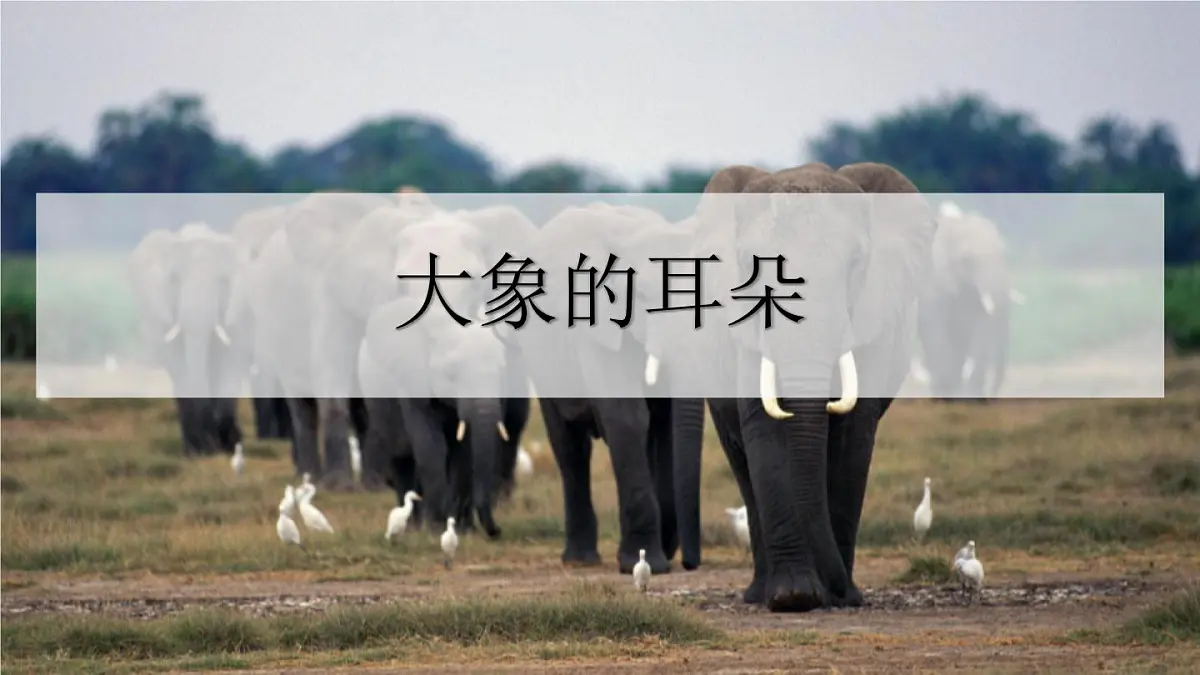 部编版二年级语文下册《大象的耳朵》PPT教学课件 (8)第1页
