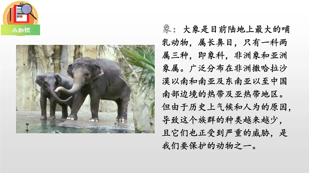 部编版二年级语文下册《大象的耳朵》PPT教学课件 (8)第3页