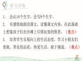 部编版二年级语文下册《沙滩上的童话》PPT课件 (4)