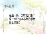 部编版二年级语文下册《开满鲜花的小路》PPT课文课件 (4)