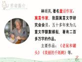 部编版二年级语文下册《开满鲜花的小路》PPT课文课件 (8)