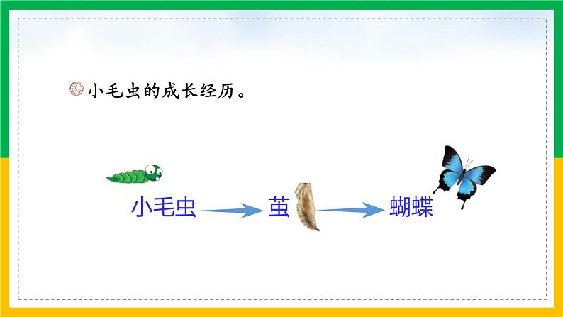 部编版二年级语文下册《小毛虫》PPT教学课件 (7)第2页