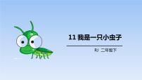 人教部编版二年级下册11 我是一只小虫子教学演示课件ppt