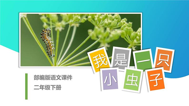 部编版二年级语文下册《我是一只小虫子》PPT优秀课件 (2)01