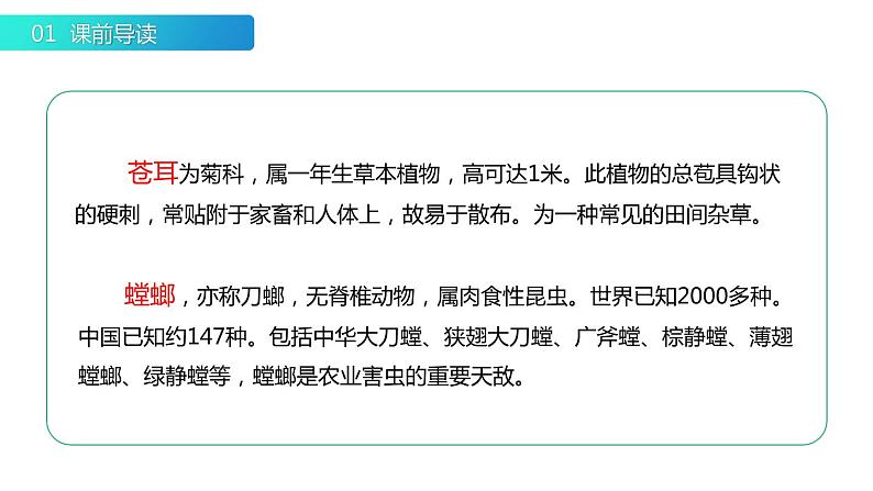 部编版二年级语文下册《我是一只小虫子》PPT优秀课件 (2)03