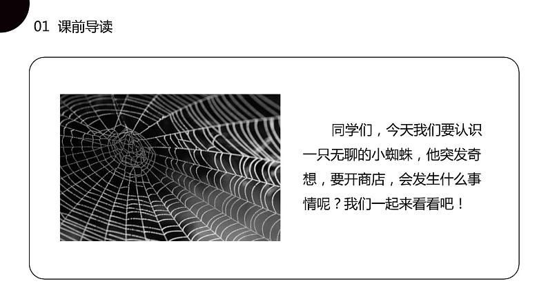 部编版二年级语文下册《蜘蛛开店》PPT优质课件 (1)02