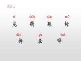 部编版五年级语文下册《威尼斯的小艇》PPT精品课件 (1)