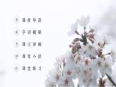 部编版四年级语文下册《三月桃花水》PPT优秀课件 (1)