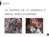 部编版四年级语文下册《三月桃花水》PPT优秀课件 (1)