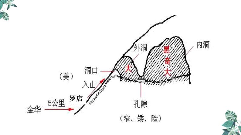 部编版四年级语文下册《记金华的双龙洞》PPT课文课件 (1)第8页