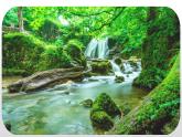 部编版四年级语文下册《三月桃花水》PPT优秀课件 (8)