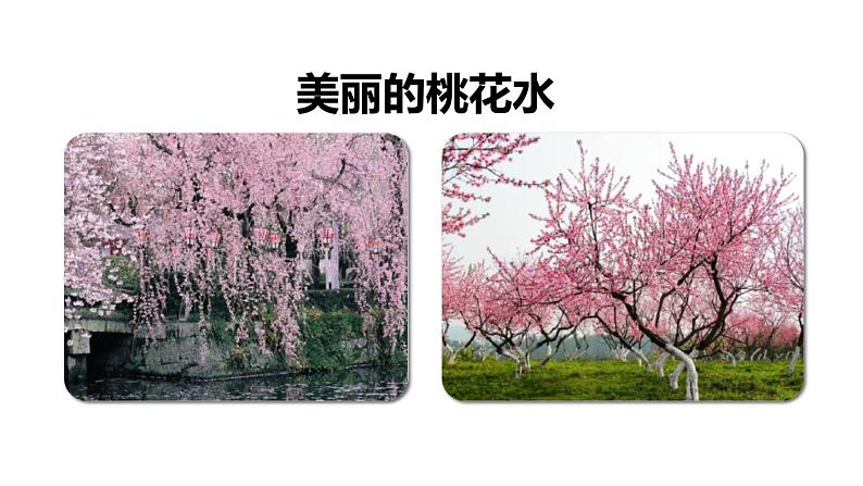 部编版四年级语文下册《三月桃花水》PPT优秀课件 (6)第2页