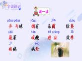 部编版四年级语文下册《纳米技术就在我们身边》PPT优秀课件 (1)