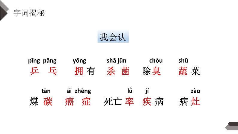 部编版四年级语文下册《纳米技术就在我们身边》PPT优秀课件 (4)05