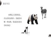 部编版四年级语文下册《我的动物朋友》PPT课件 (1)