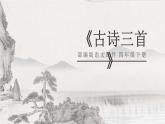 部編版四年級語文下冊《墨梅》PPT課件 (3)