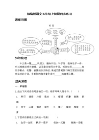 小学语文17 松鼠练习题