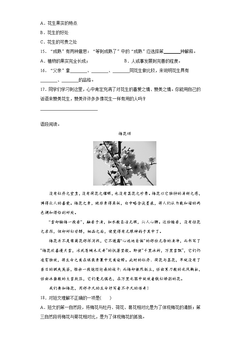 部编版语文五年级上落花生练习试题第3页