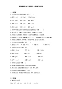 语文五年级上册16 太阳随堂练习题