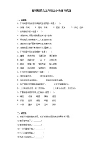 人教部编版五年级上册15* 小岛复习练习题