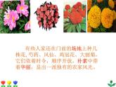 部编版四年级语文下册《乡下人家》PPT课件 (1)