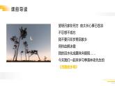 部编版五年级语文下册《月是故乡明》PPT课件 (5)