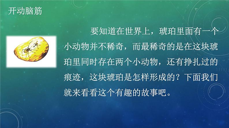 部编版语文《琥珀》PPT课件07