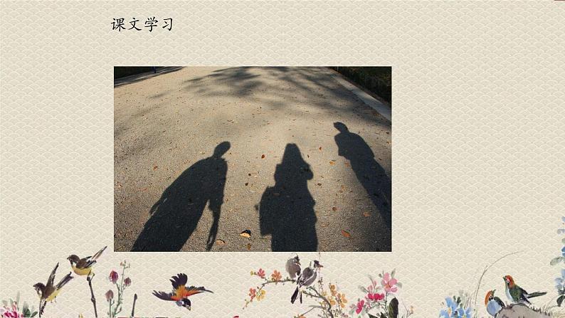 人教部编版（五四制）一年级上册语文课文2《影子》课件第7页