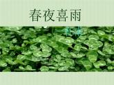 部编版六年级语文下册《春夜喜雨》PPT课件 (1)