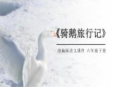 部编版六年级语文下册《骑鹅旅行记》PPT课文课件 (4)