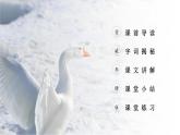 部编版六年级语文下册《骑鹅旅行记》PPT课文课件 (4)