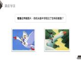 部编版六年级语文下册《骑鹅旅行记》PPT课文课件 (4)