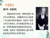 部编版六年级语文下册《骑鹅旅行记》PPT课文课件 (7)