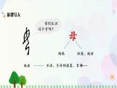 小学语文部编版六年级上册  第6单元  19.只有一个地球  课件+教案