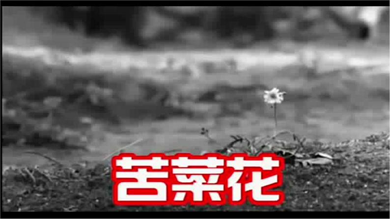 21.三黑和土地第4页