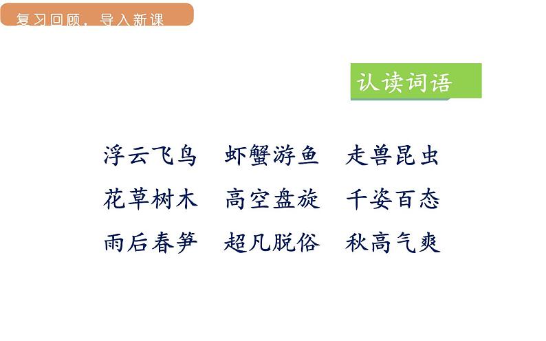 部编版三年级语文22读不完的大书第二课时课件PPT第3页