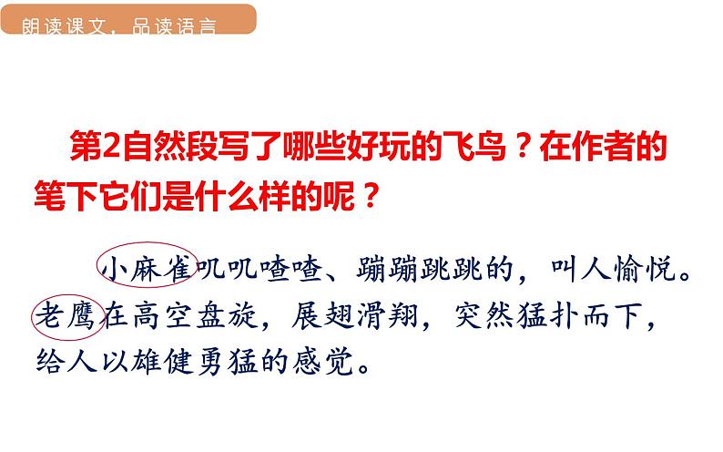 部编版三年级语文22读不完的大书第二课时课件PPT第6页