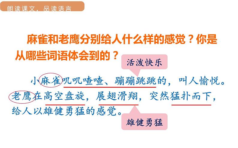 部编版三年级语文22读不完的大书第二课时课件PPT第7页