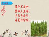 人教部编版（五四制）二年级上册 语文课文1《树之歌》课件