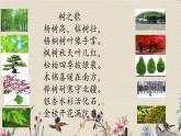 人教部编版（五四制）二年级上册 语文课文1《树之歌》课件