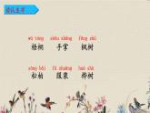 人教部编版（五四制）二年级上册 语文课文1《树之歌》课件