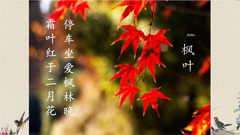 人教部编版（五四制）二年级上册 语文课文3《语文园地四》课件08