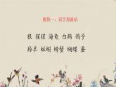 人教部编版（五四制）二年级上册 语文课文7《语文园地八》课件