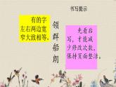 人教部编版（五四制）二年级上册 语文课文7《语文园地八》课件