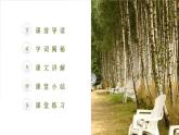 部编版四年级语文下册《白桦》PPT优质课件 (7)
