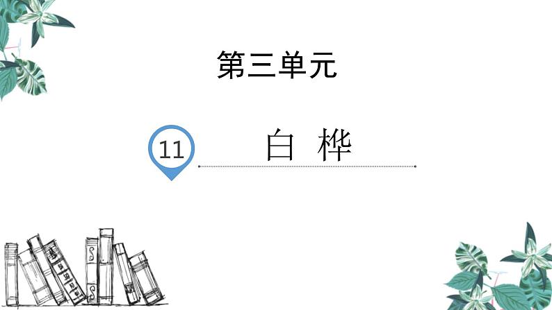 部编版四年级语文下册《白桦》PPT课件 (3)第1页