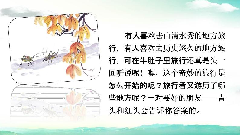 部编人教版三年级语文上册《在牛肚子里旅行》教学课件PPT公开课 (10)第2页