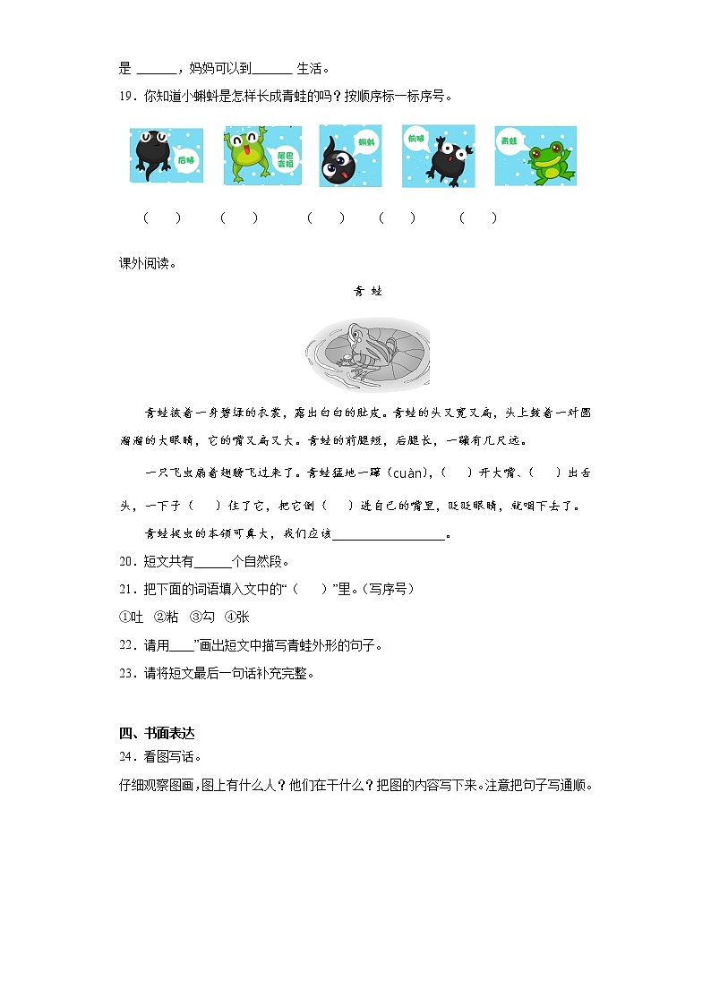 部编版语文二年级上课文（一）练习试题第3页