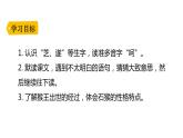 部编版五年级语文下册《猴王出世》PPT教学课件 (9)