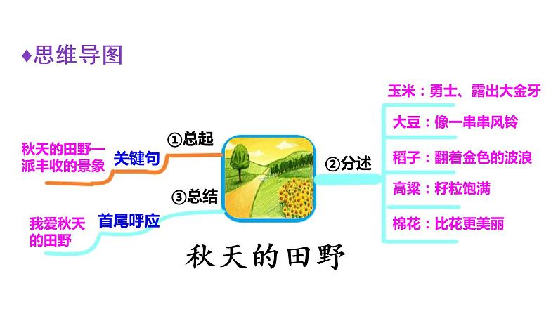 部编版小学三年级上册语文园地六 课件06